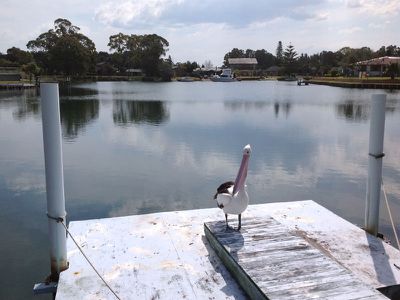 Tuncurry