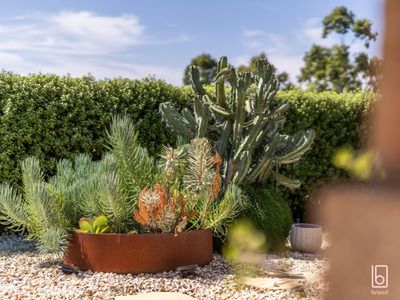 49 Georgia Drive, Hamlyn Terrace