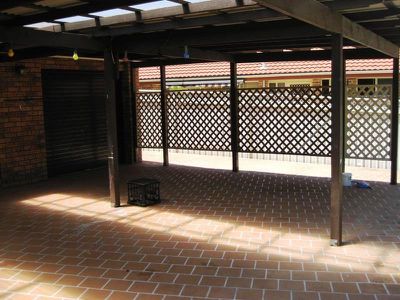 Blackbutt