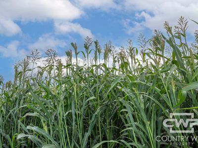 Lot Plain View South, 916 Emmaville Road, Glen Innes