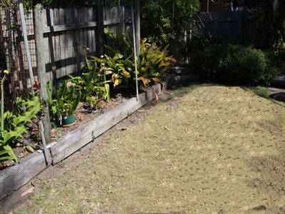 16 Marcella Street, Forster