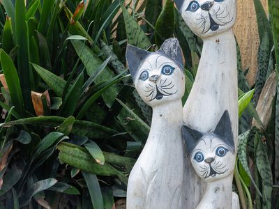 31 East Combined Street, Wingham