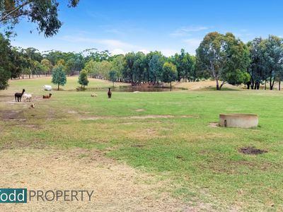 91 Tehan Court, Heathcote