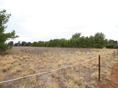 Lot 12 Green Street West, Lockhart