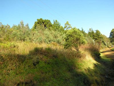 Old Road, Franklin