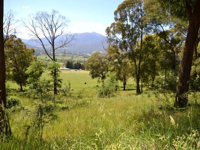 3 Diggings Road, Tawonga