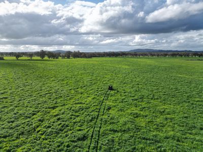 'Willowbank' Urana Road, Jindera