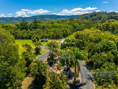 130 Left Bank Road, Mullumbimby