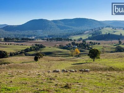 49 Perkins Road, Lucyvale