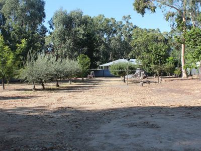 39 Cassidy Lane, Koondrook