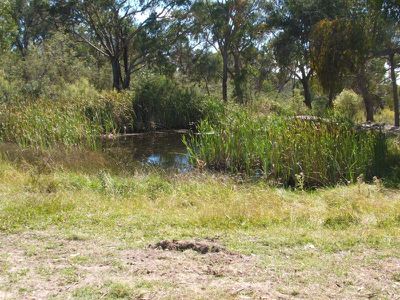 Glen Innes
