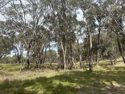 1830 Mount Hope Road, Coolah