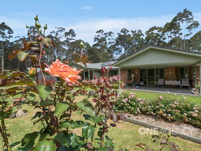 46 Eucalypt Lane, Tomerong