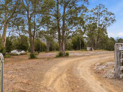 181 White Hill Road, Forcett