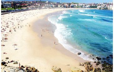 2 / 336 Bondi Rd, Bondi Beach