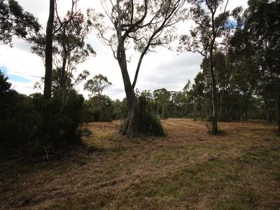216 Lune River Road, Lune River