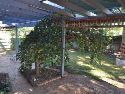 3 Thames St, Forbes