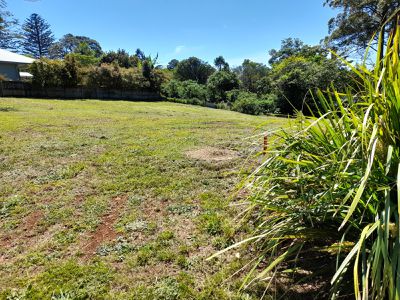 29 Tamarind Street, Maleny