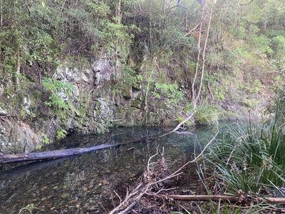 Lot 94, 2667 Pappinbarra Road, Pappinbarra