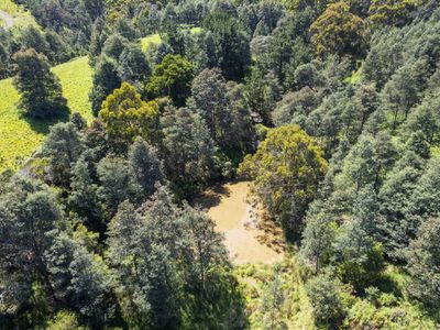 119 Sunday Hill Road, Petcheys Bay