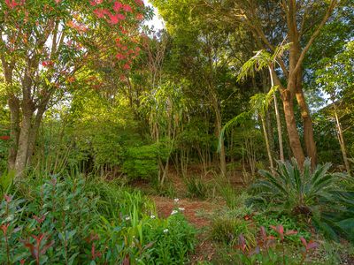 94 Contour Road, Tamborine Mountain