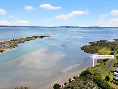 1514 Run Road, Tapora