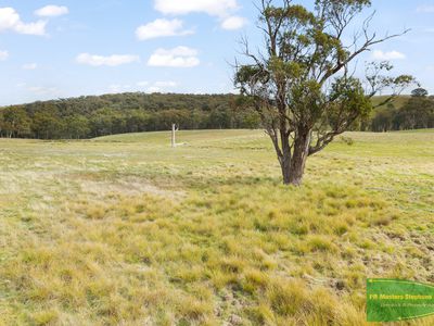 4616 Trunkey Road, Arkell