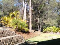 4A / 428 Springwood Road, Springwood