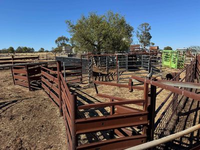 117 Hillside Lane, Parkes