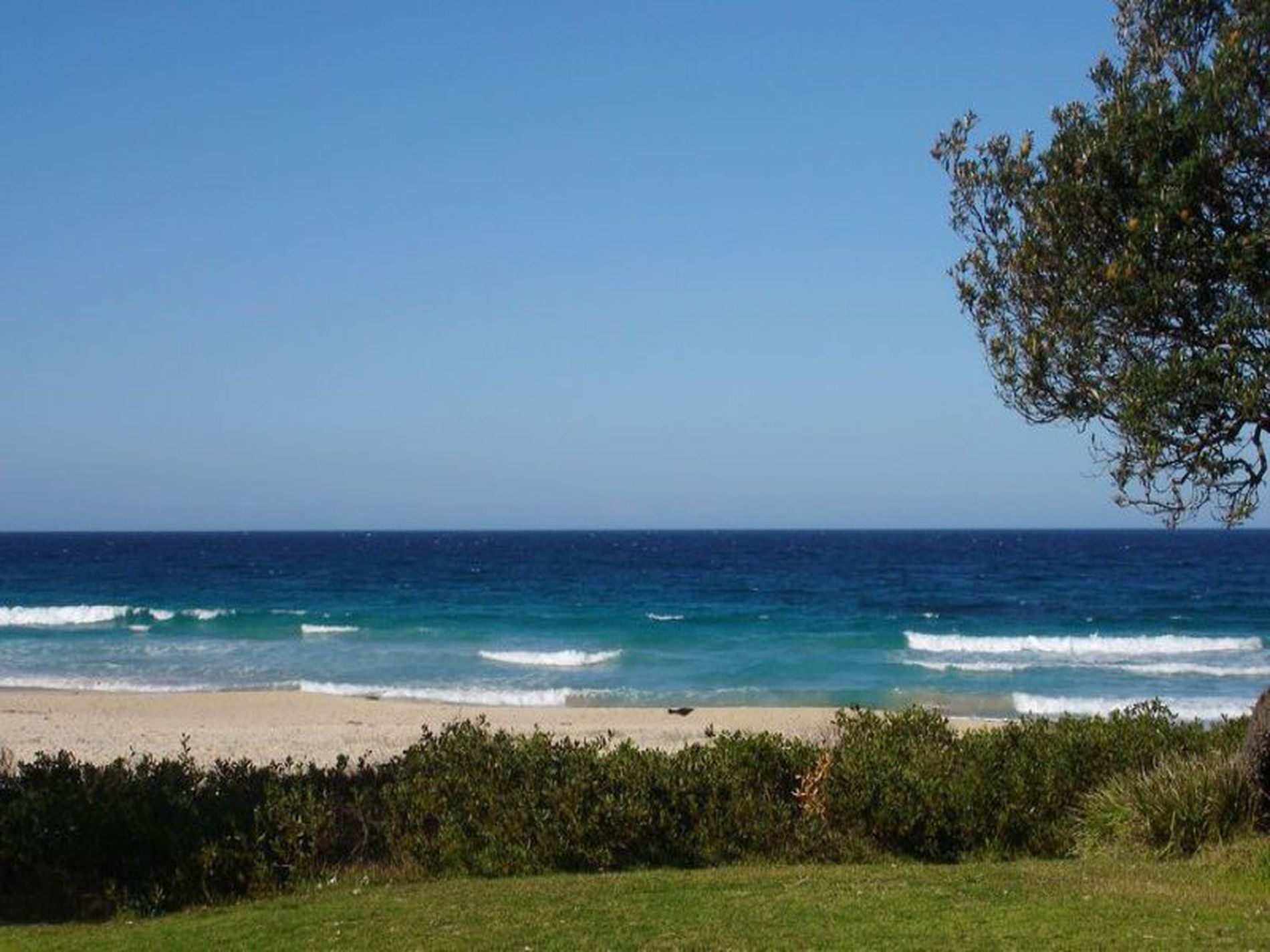 8 / 9 Shepherd Street, Mollymook Beach