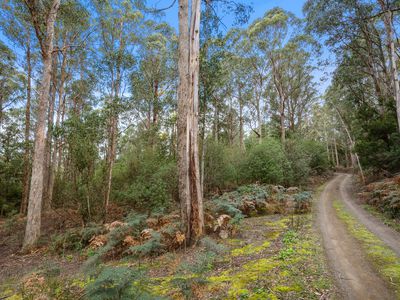 39 Coxs Road, Middleton