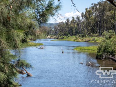 9699 Bruxner Highway, Bonshaw