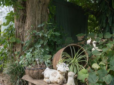 31 East Combined Street, Wingham