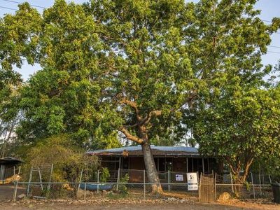 10 Kurrajong Street, Kununurra