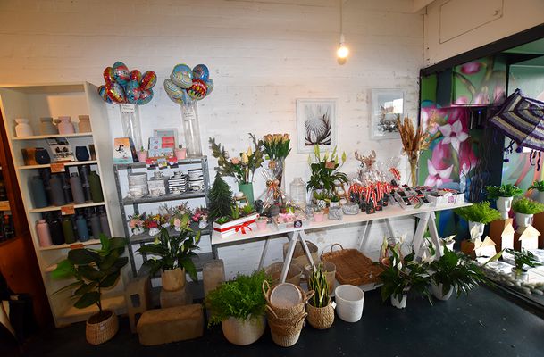 gallery