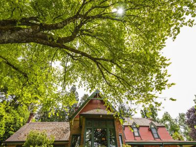239 Alton Road, Mount Macedon