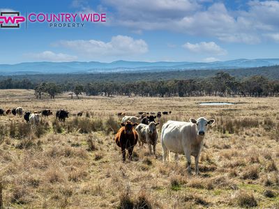 1929 New England Highway, Dundee