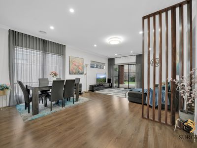46 Aquarius Street, Truganina