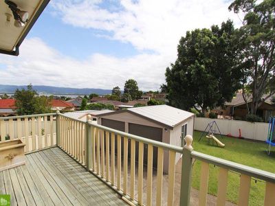 Mount Warrigal