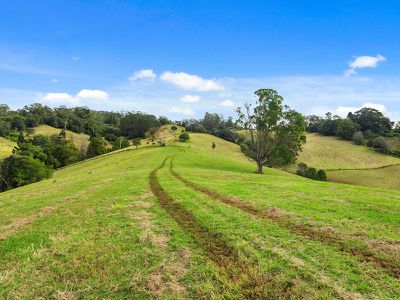 1242 Tuntable Creek Road, Nimbin