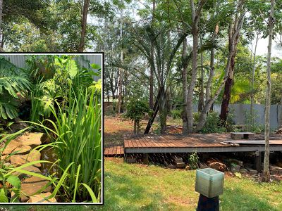 100 Cullen Street, Nimbin