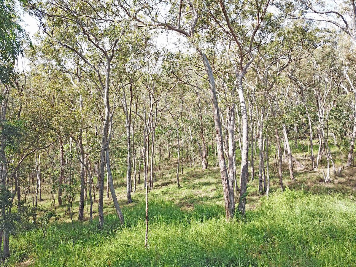 Herberton