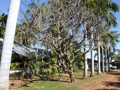 22 River Farm Road, Kununurra