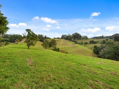 1242 Tuntable Creek Road, Nimbin