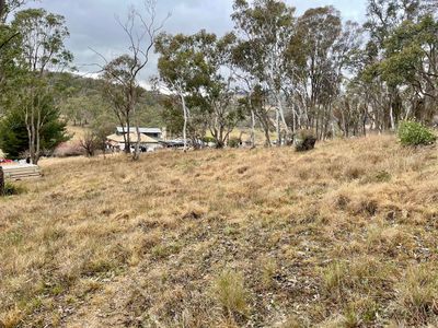 Lot 231, Wollun Road, Walcha Road