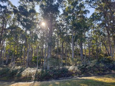 270 Woolleys Road, Lonnavale