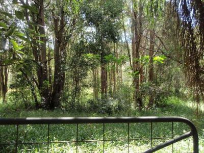 139 Billinudgel Road, Billinudgel