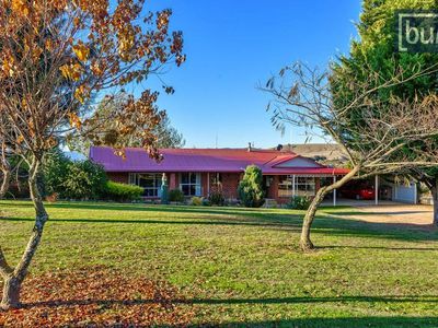 49 Perkins Road, Lucyvale