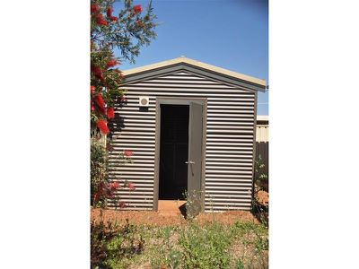 46 Braeside Street, Newman