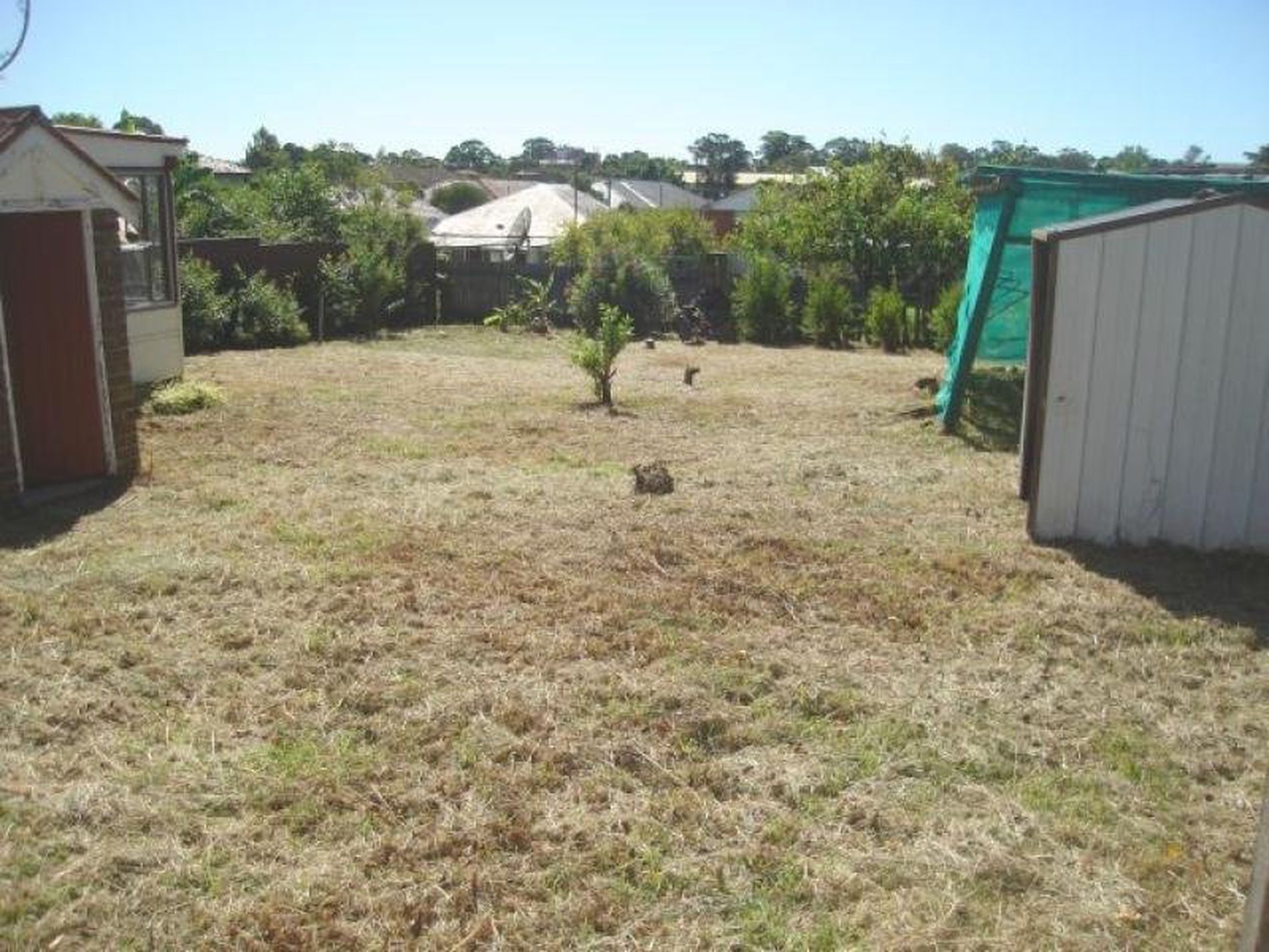 14 Faux Street, Wiley Park